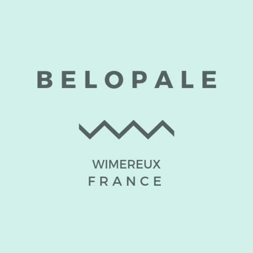 Belopale @ Residence La Belle Epoque Wimereux Luaran gambar